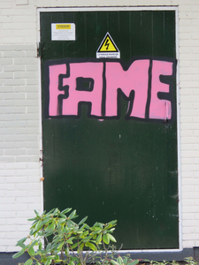 833785 Afbeelding van graffiti met de tekst 'FAME' uit 2017, op de deur van een elektriciteitshuisje op de hoek van de ...